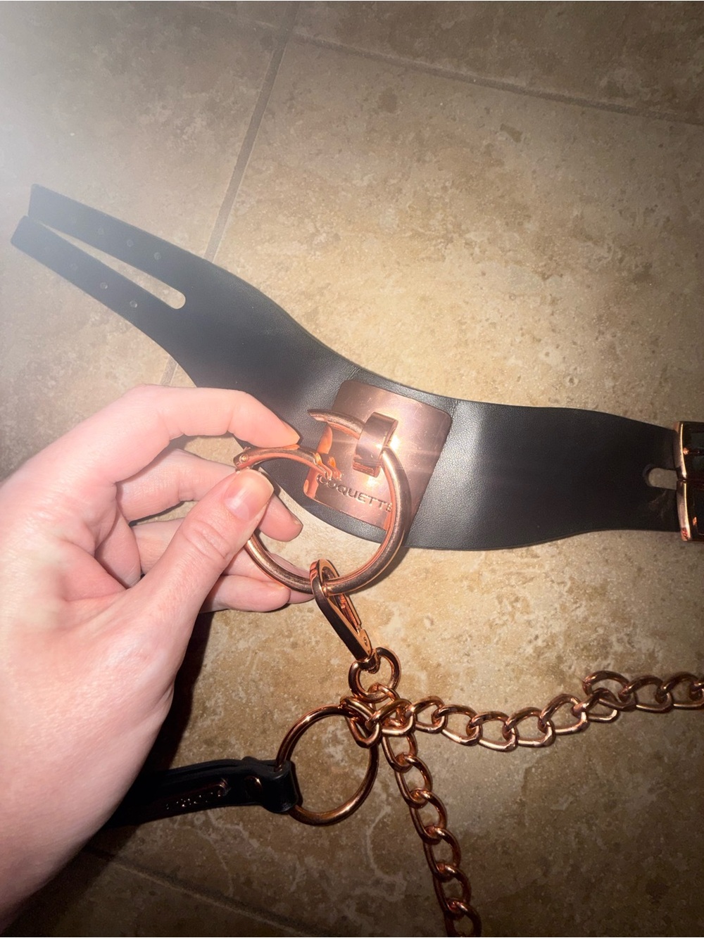 Coquette collar and leash - Picture 5 of 6